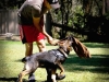 Oscar with Brett's pup, Clyde 